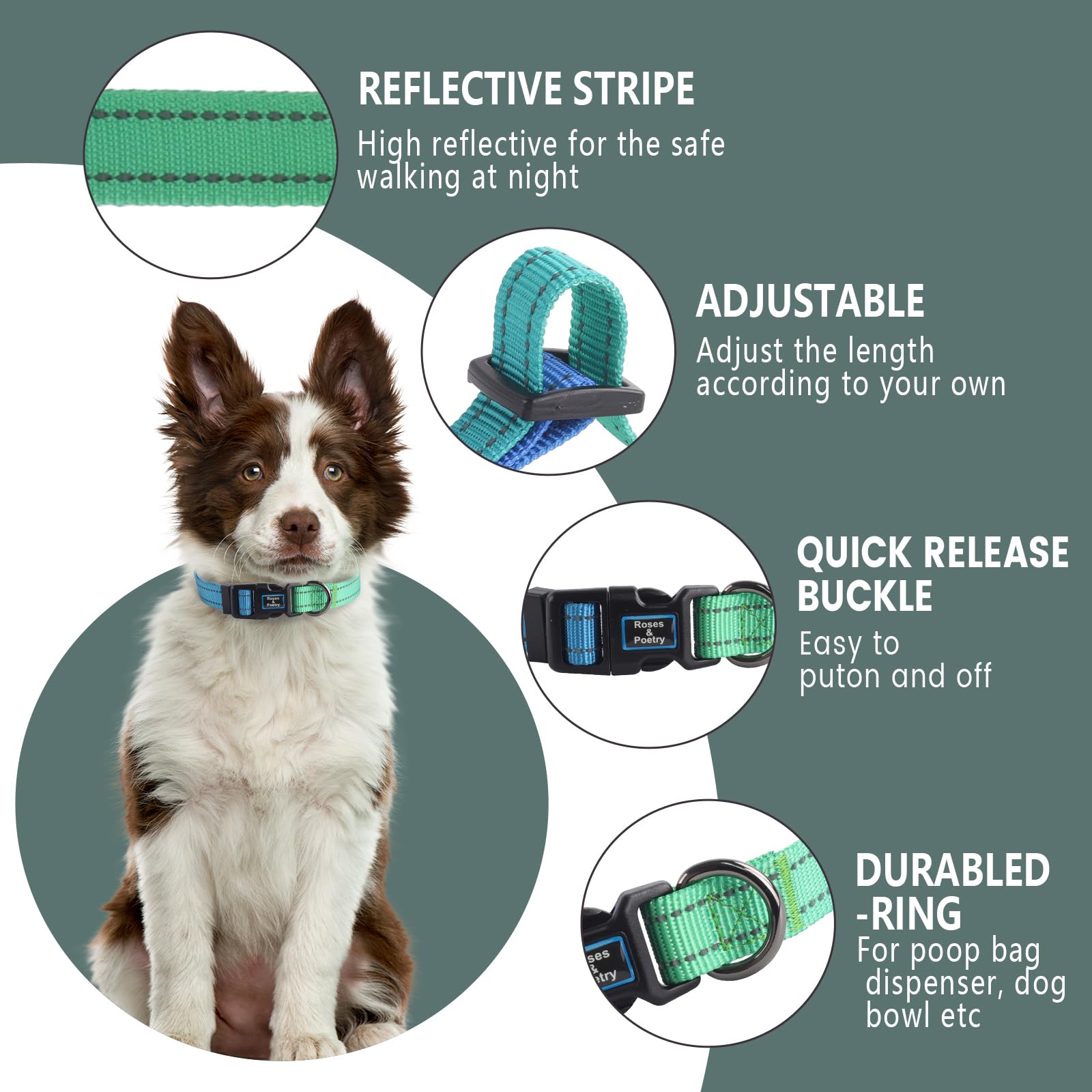 Roses&Poetry Medium Dog Collar and Lead Set BlueGreen, Puppy Reflective Leashes with Collars - Image 2