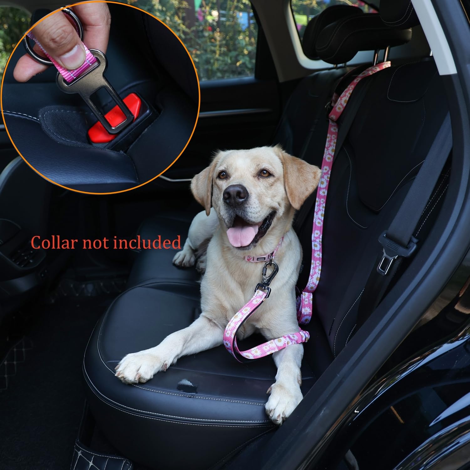 Hands Free Dog Leash, No Pull Bungee Dog Running Waist Leash, with Car Seat Belt, Reflective Stripes, Heavy Duty for Medium and Large Dogs. (Daisy Pink, Large) - image 5