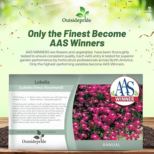 Miniatura 3 de Outsidepride 10000 semillas anuales Rose Lobelia Ground Cover Seeds para plantar