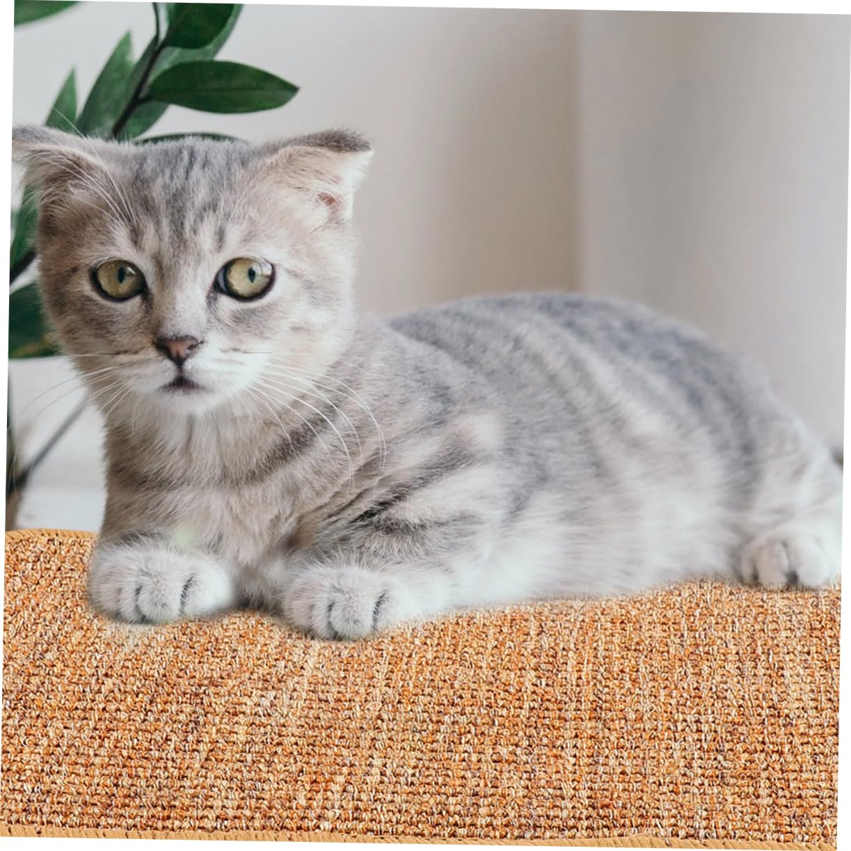 2piezas Rascador De Suelo para Gatos Tapete Rascador Divertido Protector De Muebles