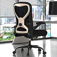 Casasio Ergonomic Office Chair: Adjustable Lumbar Support, Thick Cushion, Flip-Up Arms, Breathable Mesh Back for Home Office