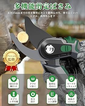 71XQDRD8XML._AC_UF350,