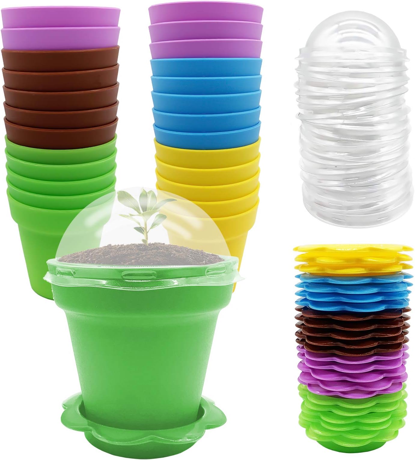 PURPLE STAR 1N 25 Packs Cupcake Plant Nursery Pots with Humidity Dome-Small Flower Pots for Kids-Planting Containers Cups for Indoor Outdoor Plant Succulent Display (Mixed Color)