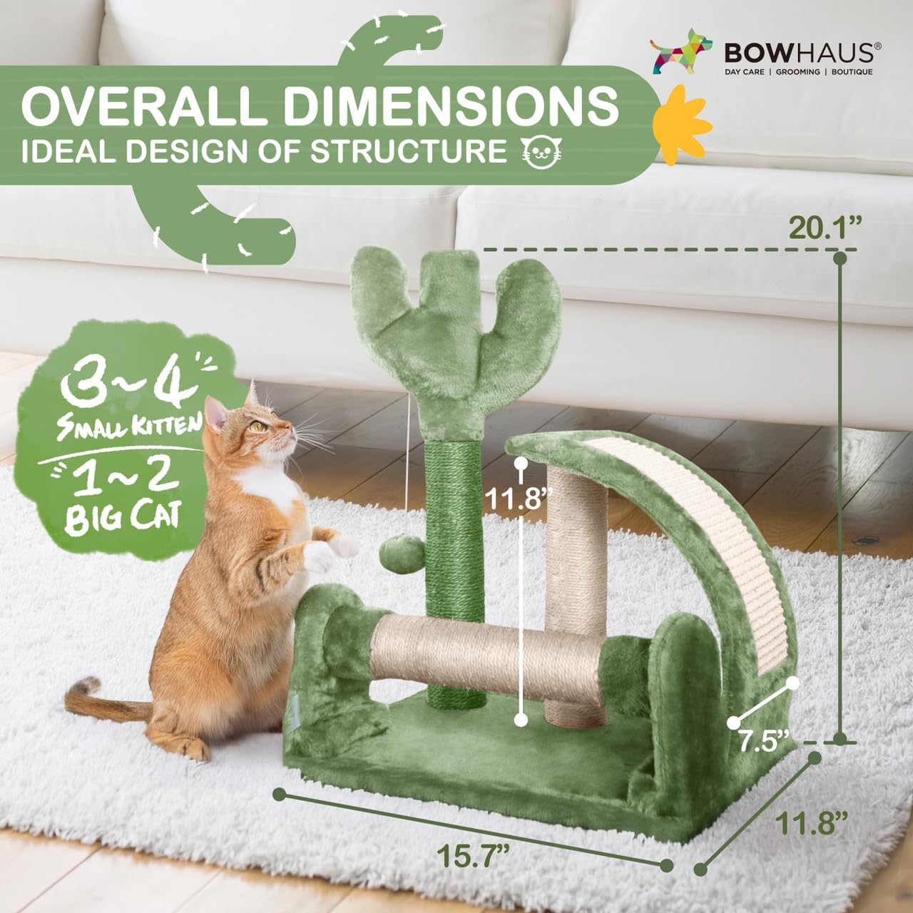 BOWHAUS Cactus Cat Tree, Cactus Cat Tower with Thickened Base, Green Cat Tower for Indoor Small Cats, Cute Cactus cat Tree Tower w/Scratching Post and Interactive Toy, 20-Inch