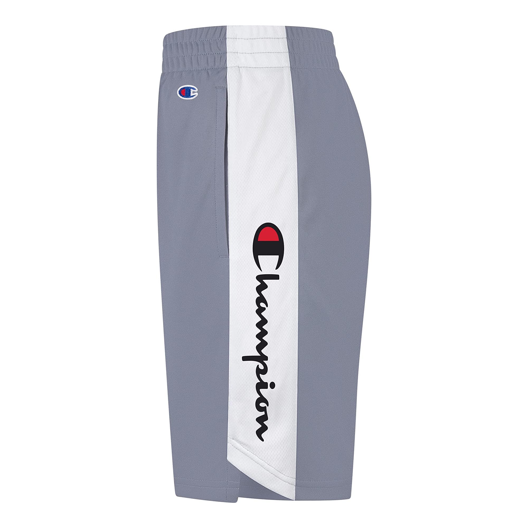 Champion Boys Script Basketball Shorts Big Kids Desertcart