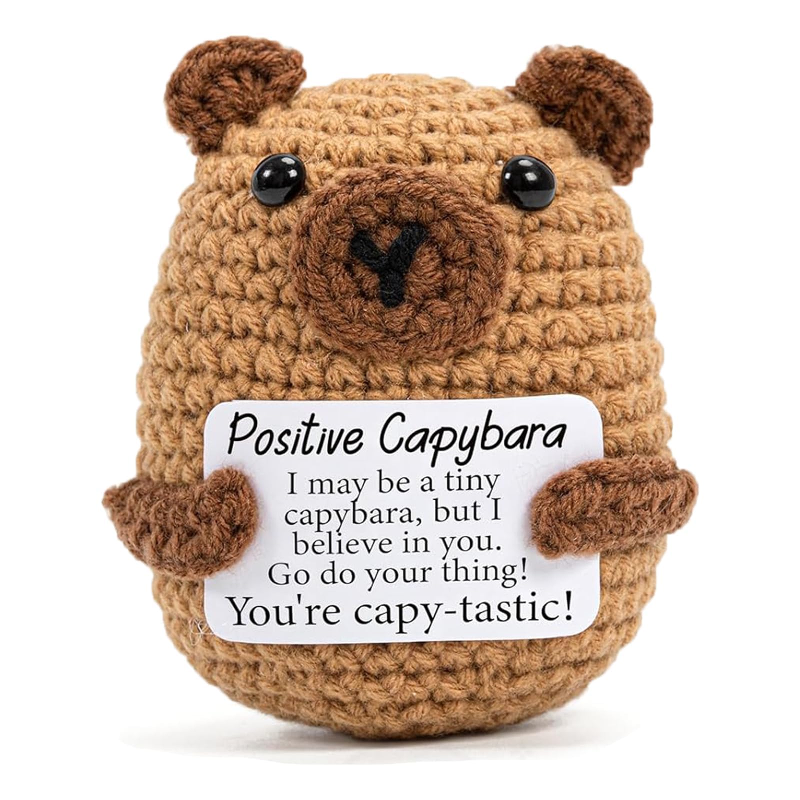 JollyDragon Positive Capybara Plush,Emotional Support Crochet Animals With Positive Affirmation Cards,Funny Knitted Inspirational Capybara Gifts For Friends Family Colleagues Office Party Decoration