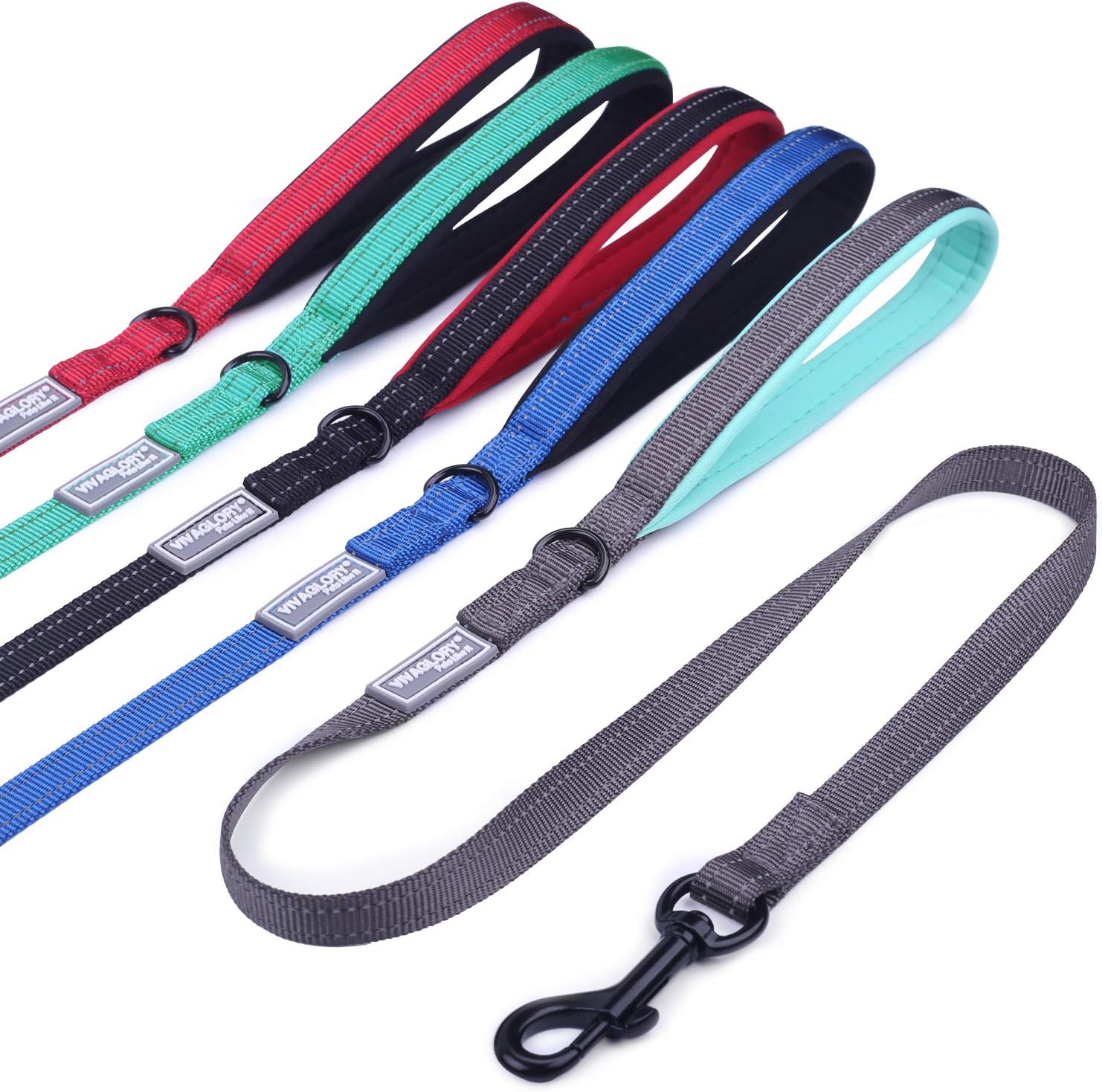 VIVAGLORY Dog Lead Dailyx Dog Leash, Lead with Soft Padded Handle for Training & Walking
