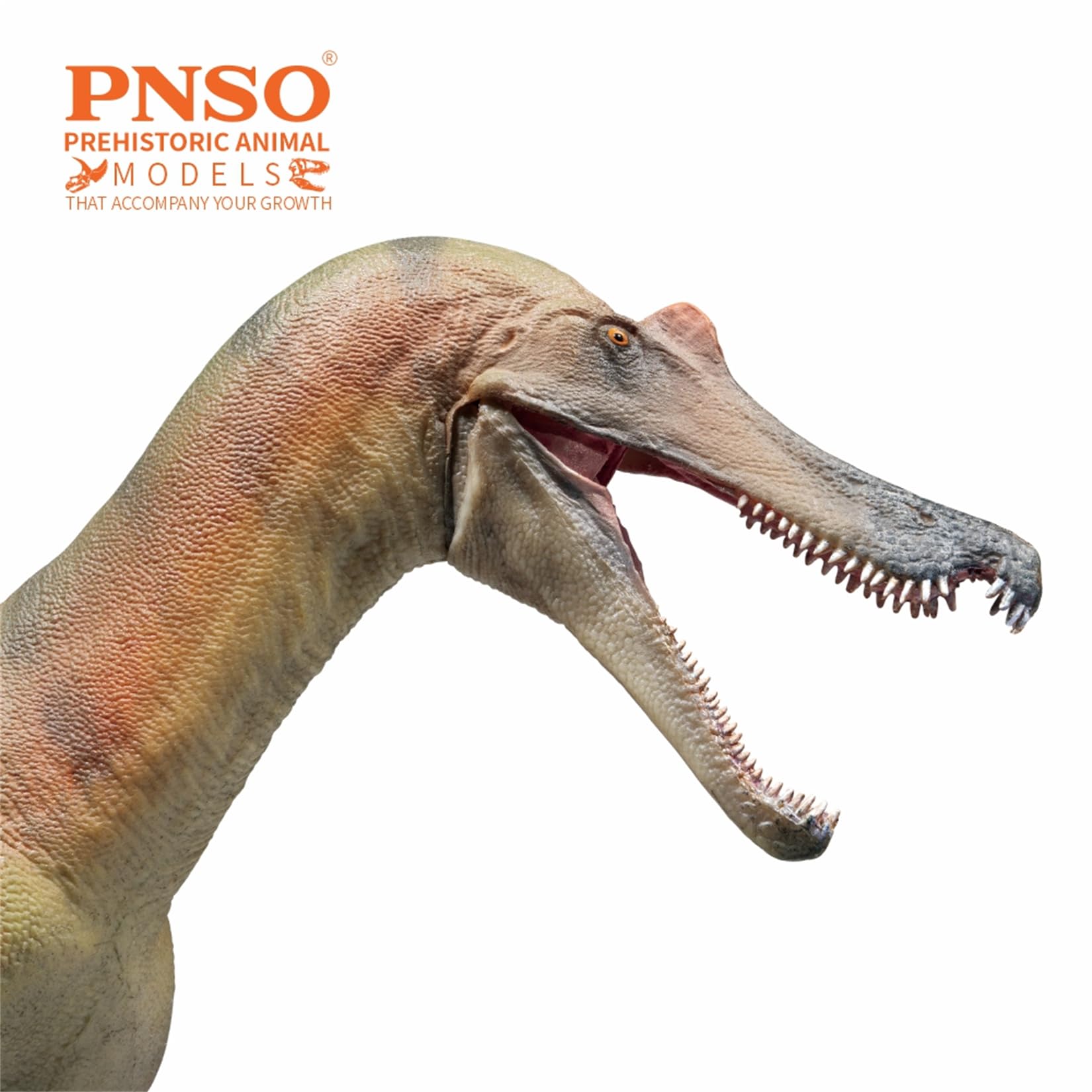 Amazon | PNSO 成長シリーズ84 バリオニクス フィギュア 24cm級 口開閉