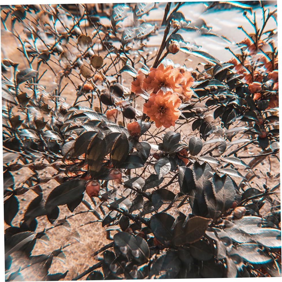 Filtro caleidoscopio de 77mm y prisma de vidrio negro para cámara reflex 4