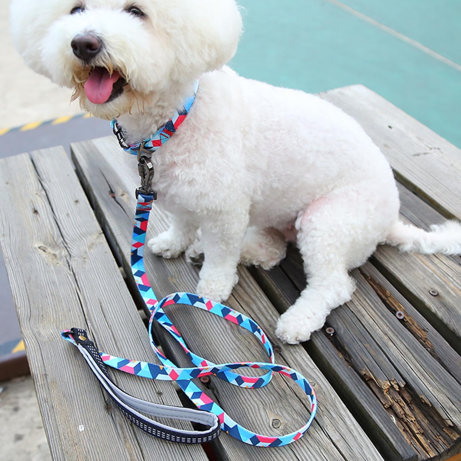 Everking Dog Leash and Collar Set with Metal Buckle, Suitable for Large Dogs Weighing 21-40kg,Memphis Geometric Pattern Design Style, Flexible Webbing, Nylon Handle, Adjustable (Iris, L)