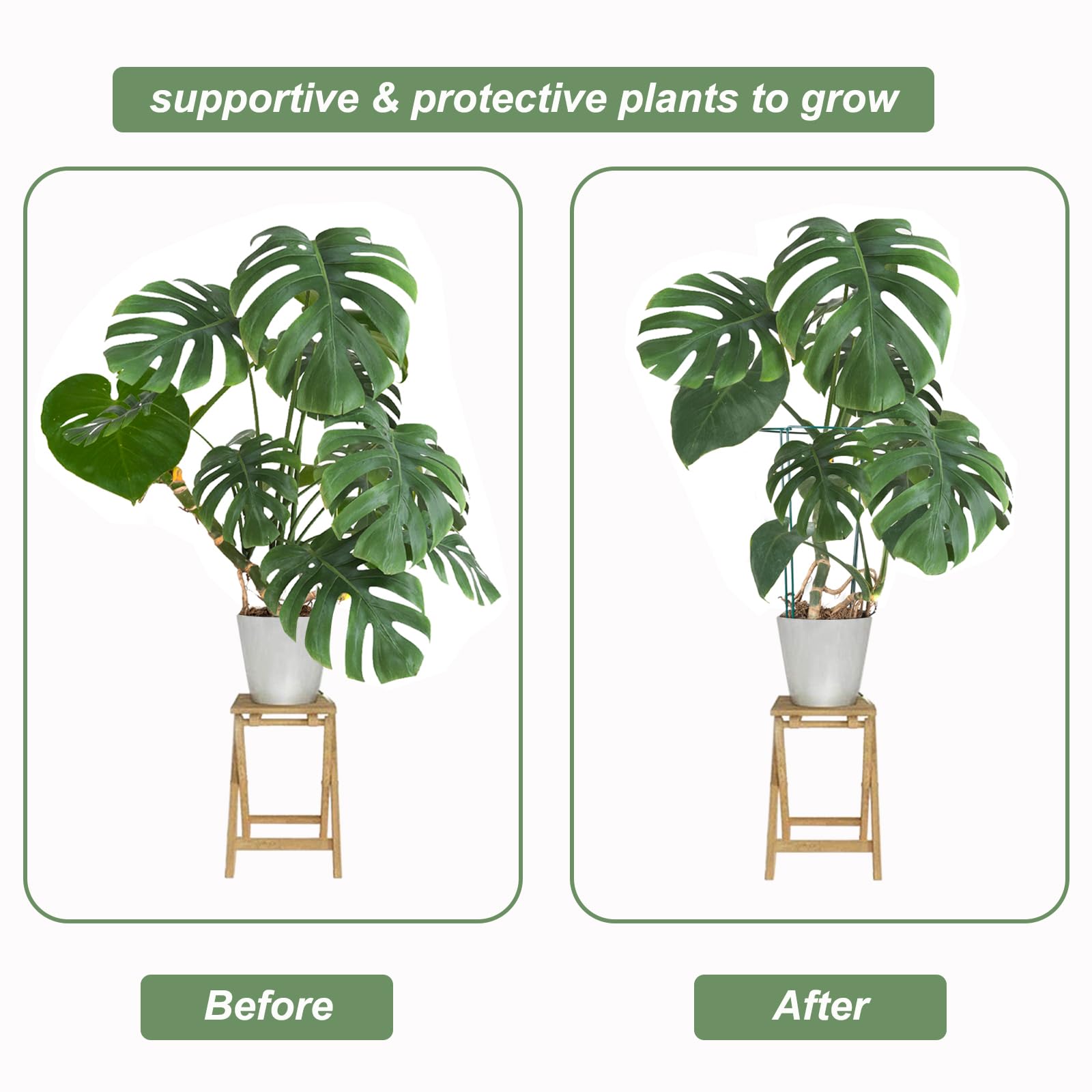 12 Pack Plant Support Stake, 16 Inch Peony Cages and Supports for Outdoor Plants, with 15 Pcs Plant Labels, 20 Pcs Plant Clips, 7ft Plant Ties