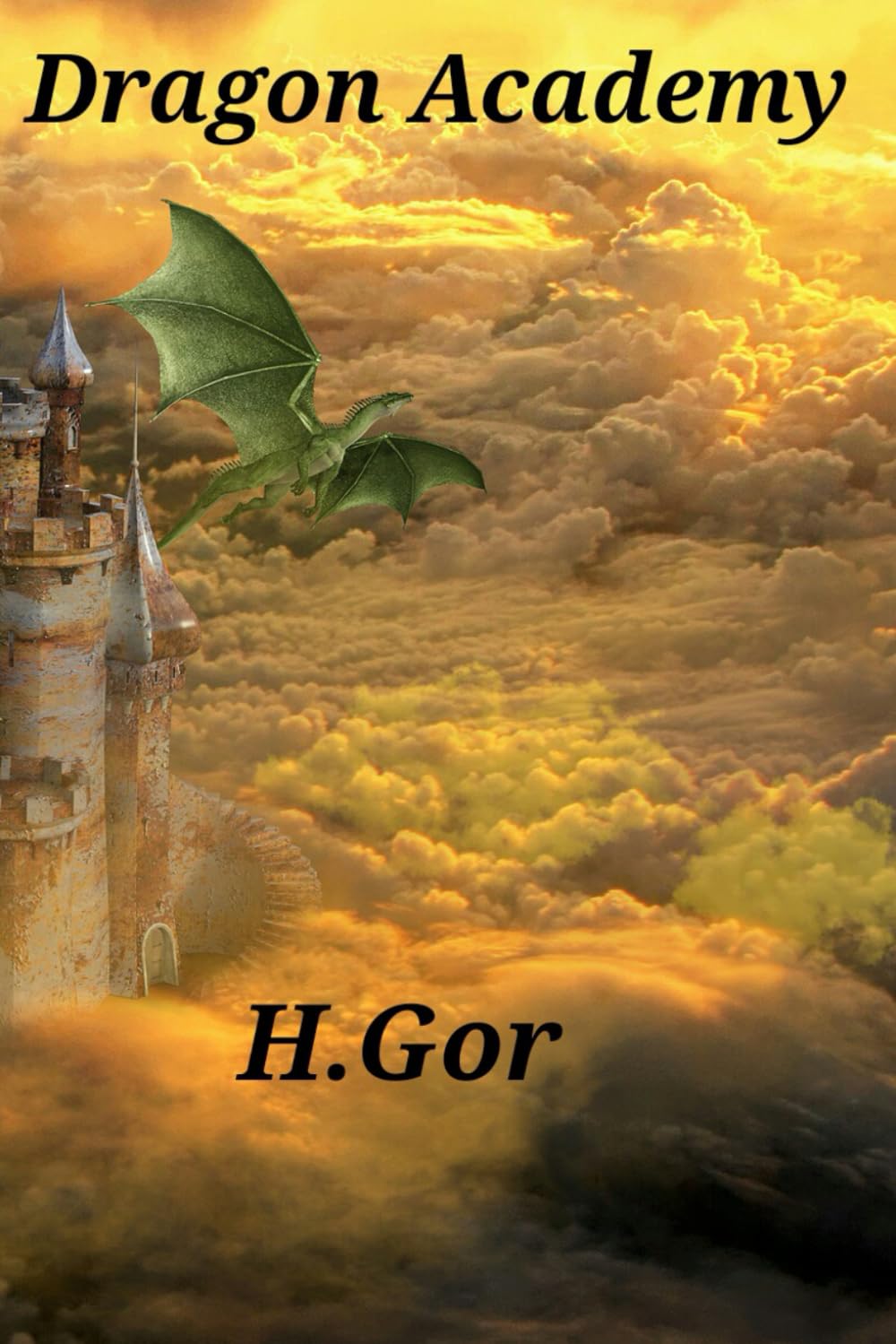 Dragon Academy (Dragon Guardian Series)