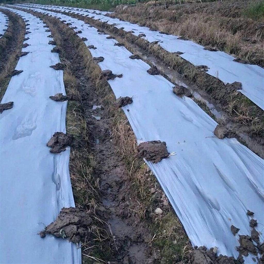 Película de plástico para invernadero, huerto, árbol frutal, plateado, negro, para control de malezas, 50 m
