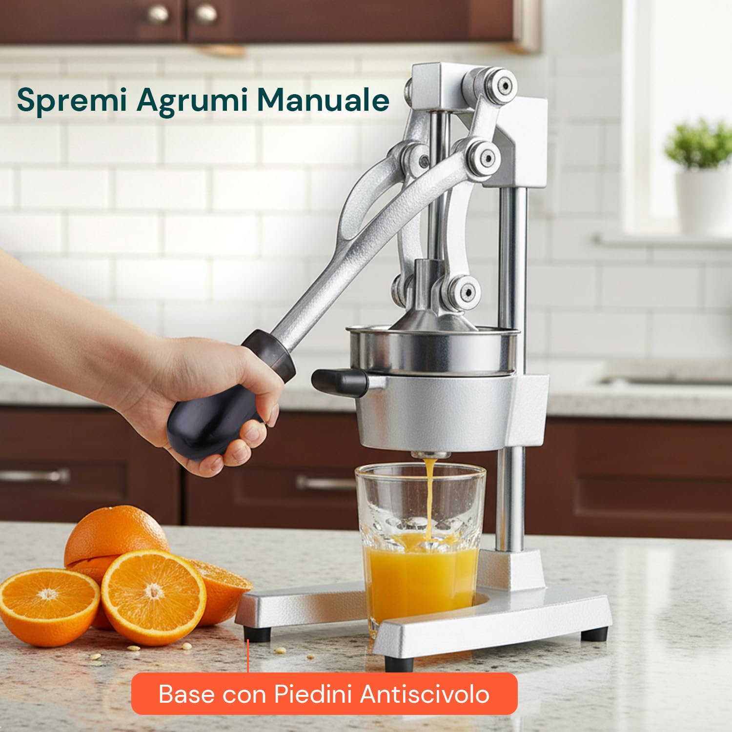 Avilia - Spremiagrumi Professionale a Leva in Ghisa con Filtro Inox 304 Spremiagrumi Manuale per Arance e Limoni con Pressione Potente Uso Domestico e Bar Struttura Ultra Resistente