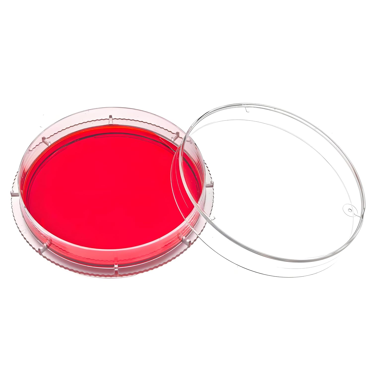 Cell Culture Dishes with Lids, Dia.100mm TC Treat & Sterile Dish, Tissue Culture Dishes for Cell Culture Labs, School Science Projects,Seeding,Storage,Biological Themed Party, 300/CS