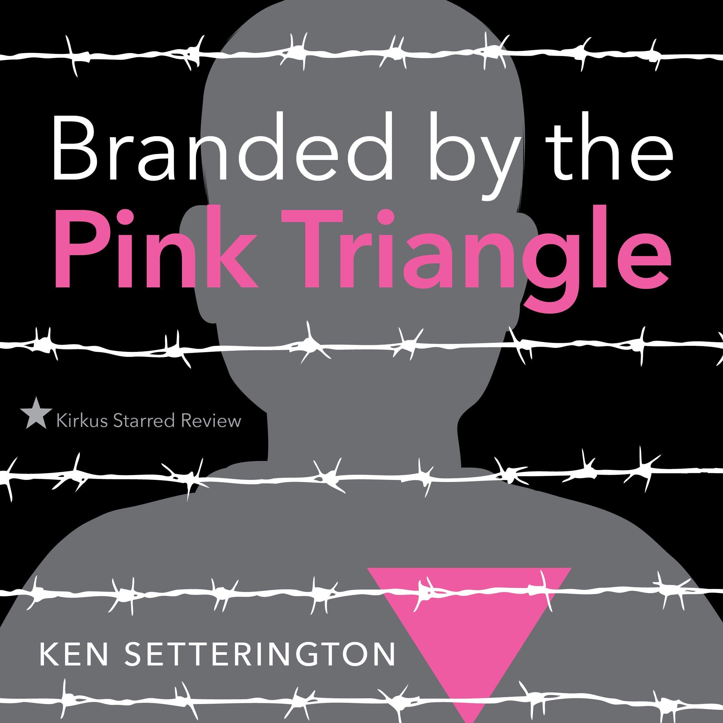 Cover art for Branded by the Pink Triangle