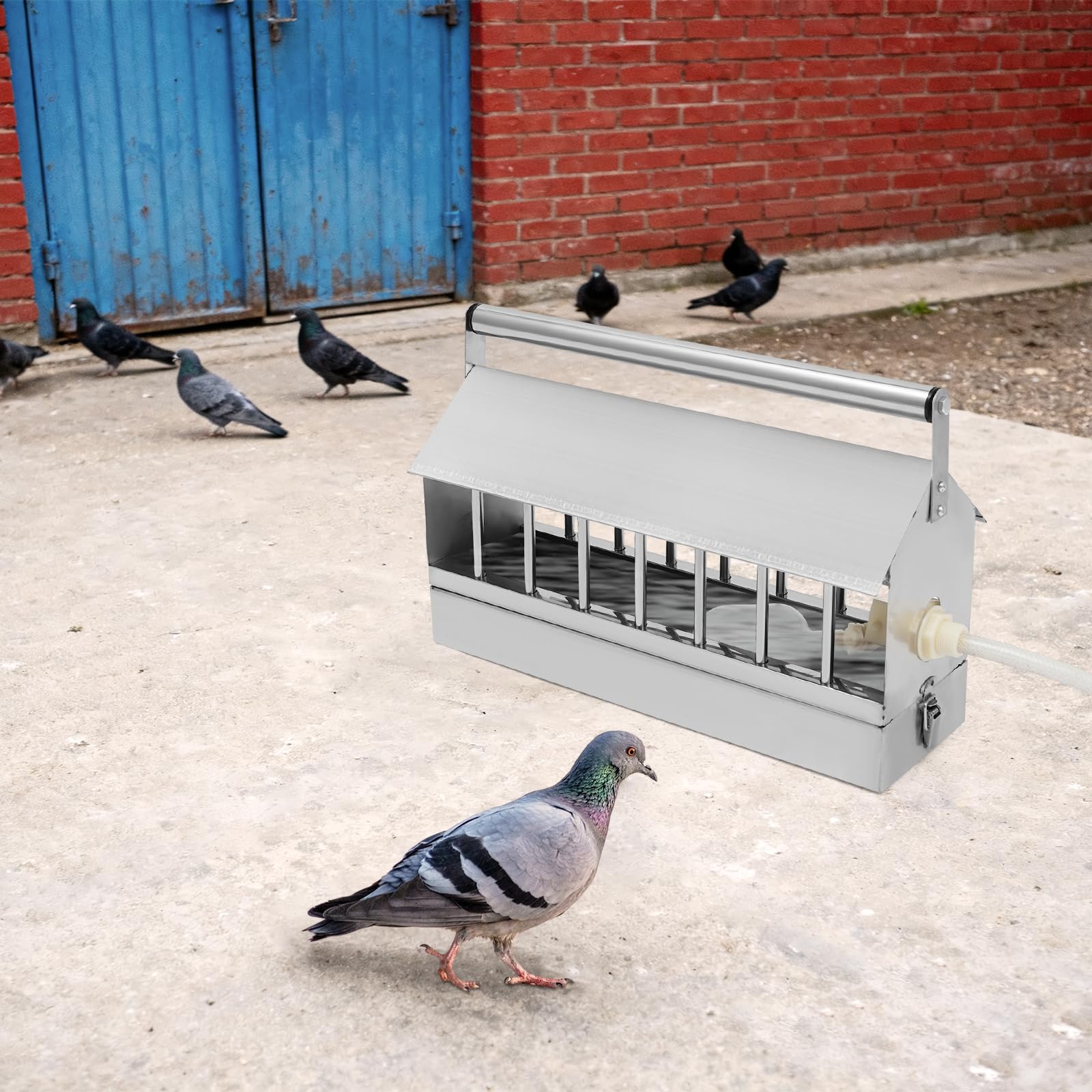 Recipiente automático para beber aves de corral, 40 x 12 x 22 cm, con válvula de flotador, recipiente automático para pollos, patos y pájaros