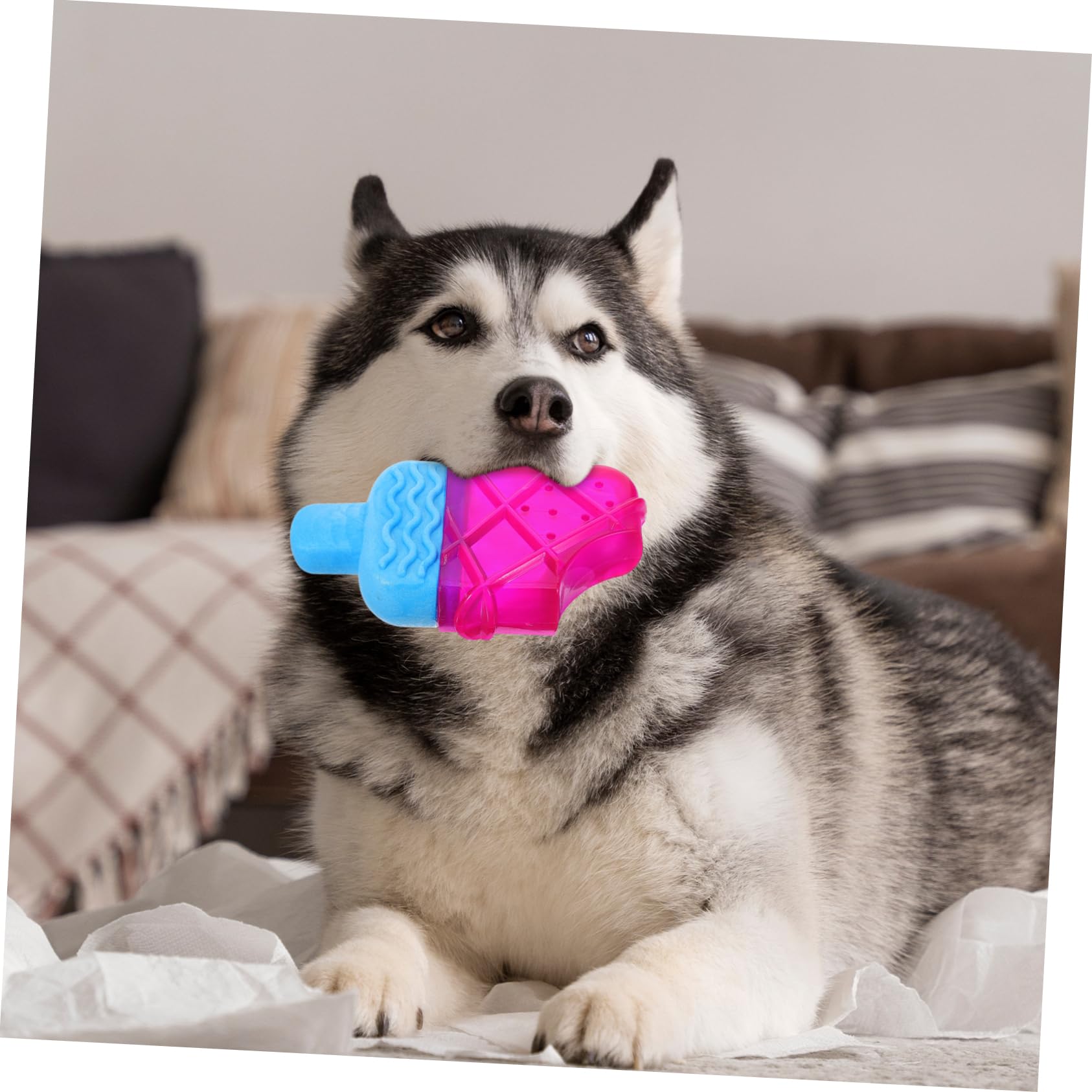 HANABASS 5pièces Jouet à Mâcher pour Chiots Forme De Glace Jouet Rafraîchissant pour à Congeler pour Soulager Gencives Et Nettoyer Dents des Chiens