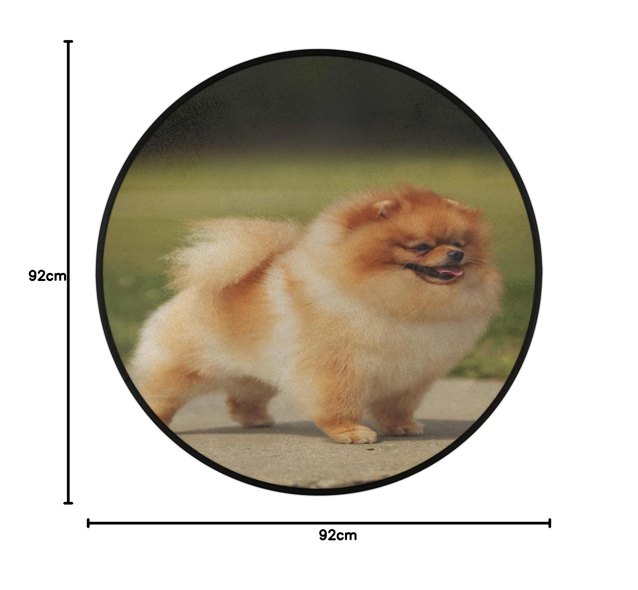 Tapis rond mignon de Poméranie de 91,4 cm, lavable en machine, antidérapant, doux, pour salon, chambre d'enfant, décoration de chambre d'enfant