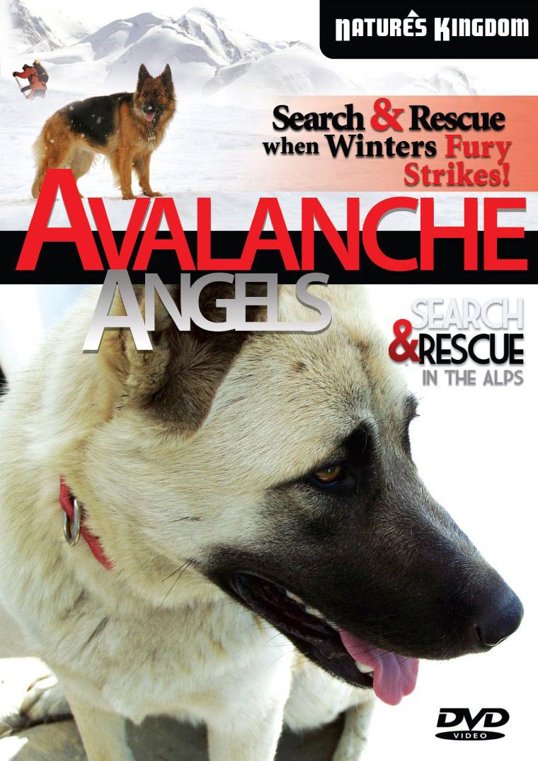 Avalanche Angels el detalle ideal para embellecer cualquier estancia