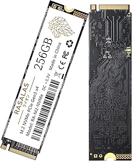 Rasalas 256GB SSD 3D NAND TLC SATA III Gen3x4 6Gb/s M.2 2280 NGFF Read Speed Up to 550MB/s SLC Cache Performance Boost Internal Solid State Drive for Computer Laptop and Desktop