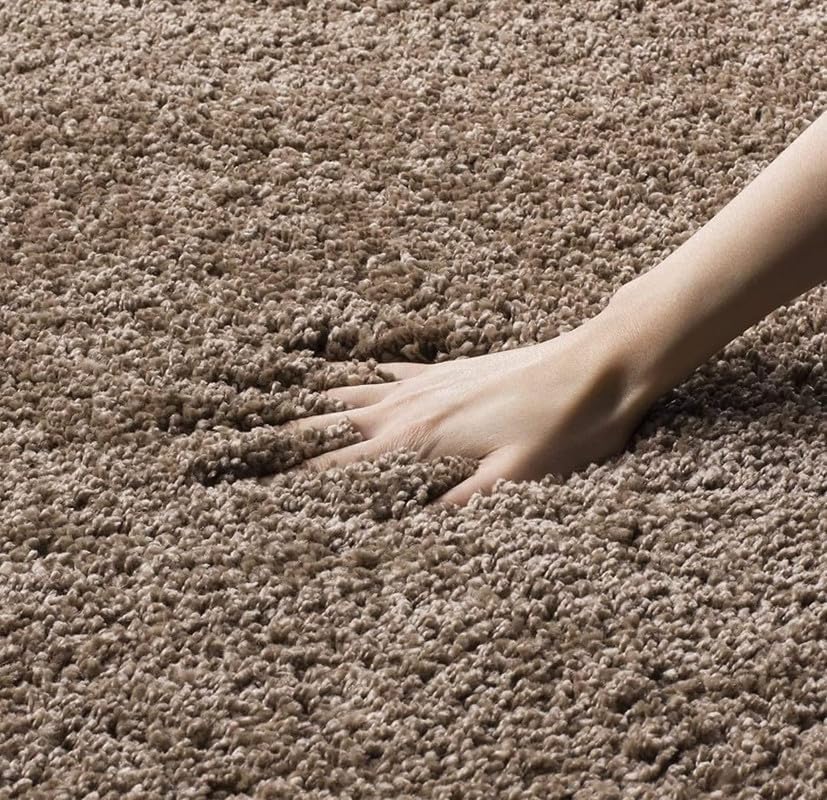 Image of Ultra-Soft Shaggy Carpet (4 X 6 FEET, Beige) Fluffy, Cozy & Durable Area Rug for Living Room, Bedroom & More ? Premium Modern Design