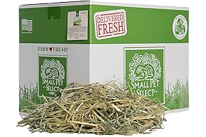 Small Pet Select Oat Hay - Delightful Delicacy for Bunnies (20 lbs)