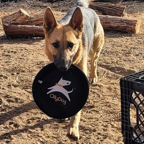 Ollydog Flyer Disc, Dog Frisbee, Lightweight And Floating, Dog Toys Interactive, Dog Stuff, Gentle On Teeth And Gums (Raven) #TOP3