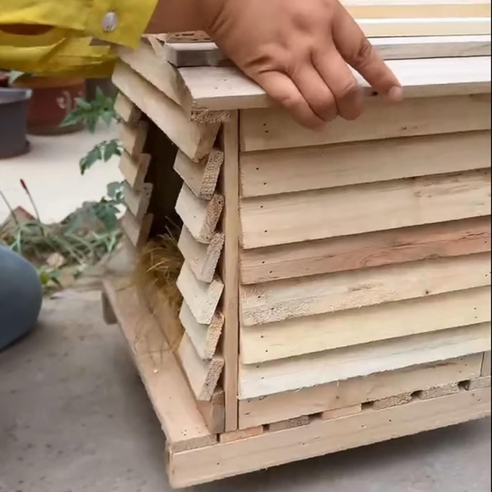 Pollaio in Legno Da Esterno Gabbia for Anatre Con Tetto Casetta Galline Porta Apribile Utilizzabile Sia All'interno Che All'esterno for Piccoli Animali, Conigli(30 * 30 * 43cm)