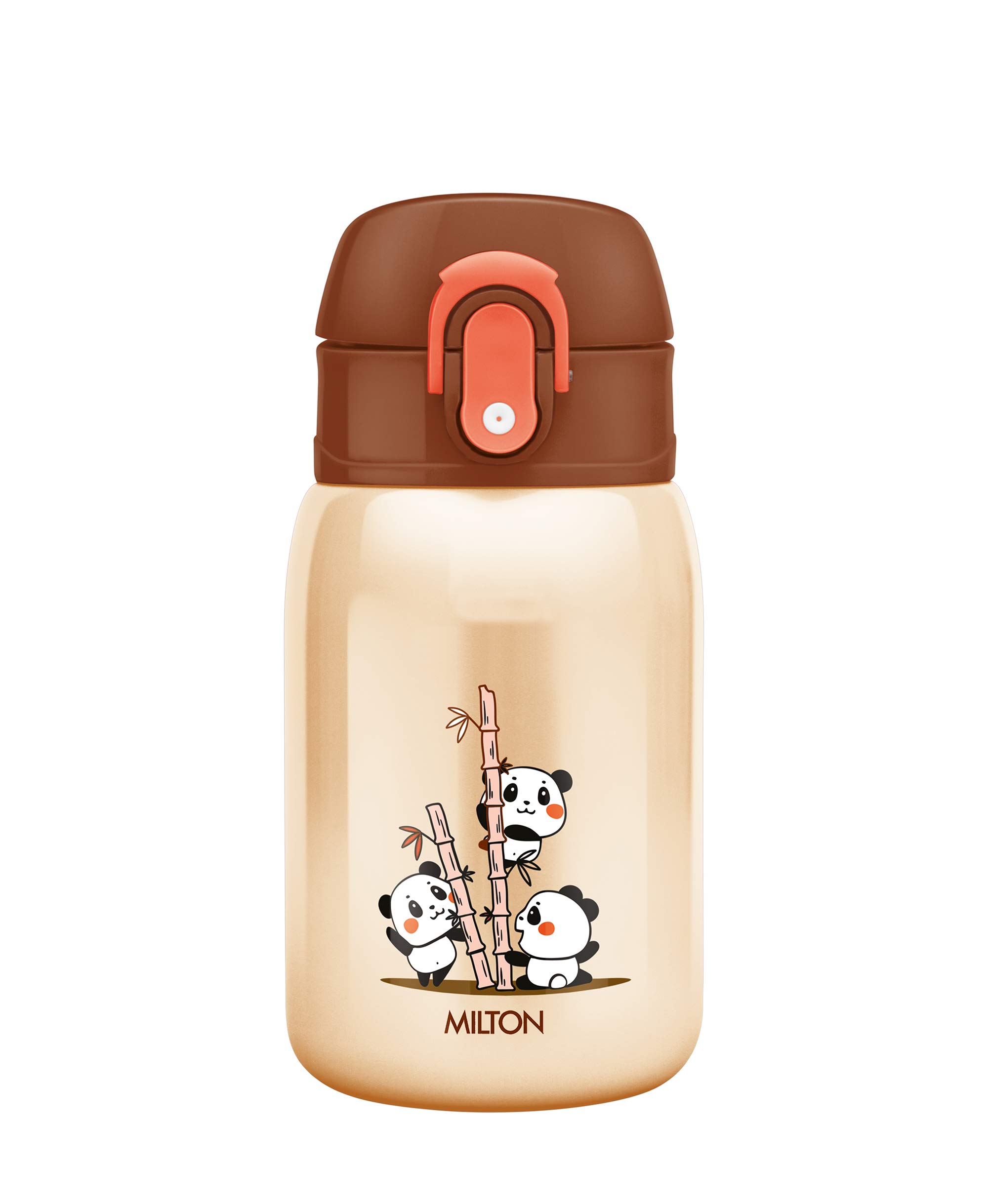 Milton Jolly 275 thermosteel Kids Hot and Cold Water Bottle, 230 ml, Ivory