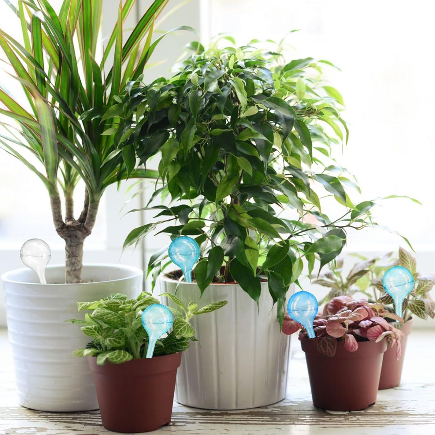14 Pièce Boules d'Irrigation pour Plantes, Arrosage Goutte à Goutte Auto pour Plantes, Bulbes d’Arrosage Automatique pour Plante Fleur D'intérieur et D'extérieur