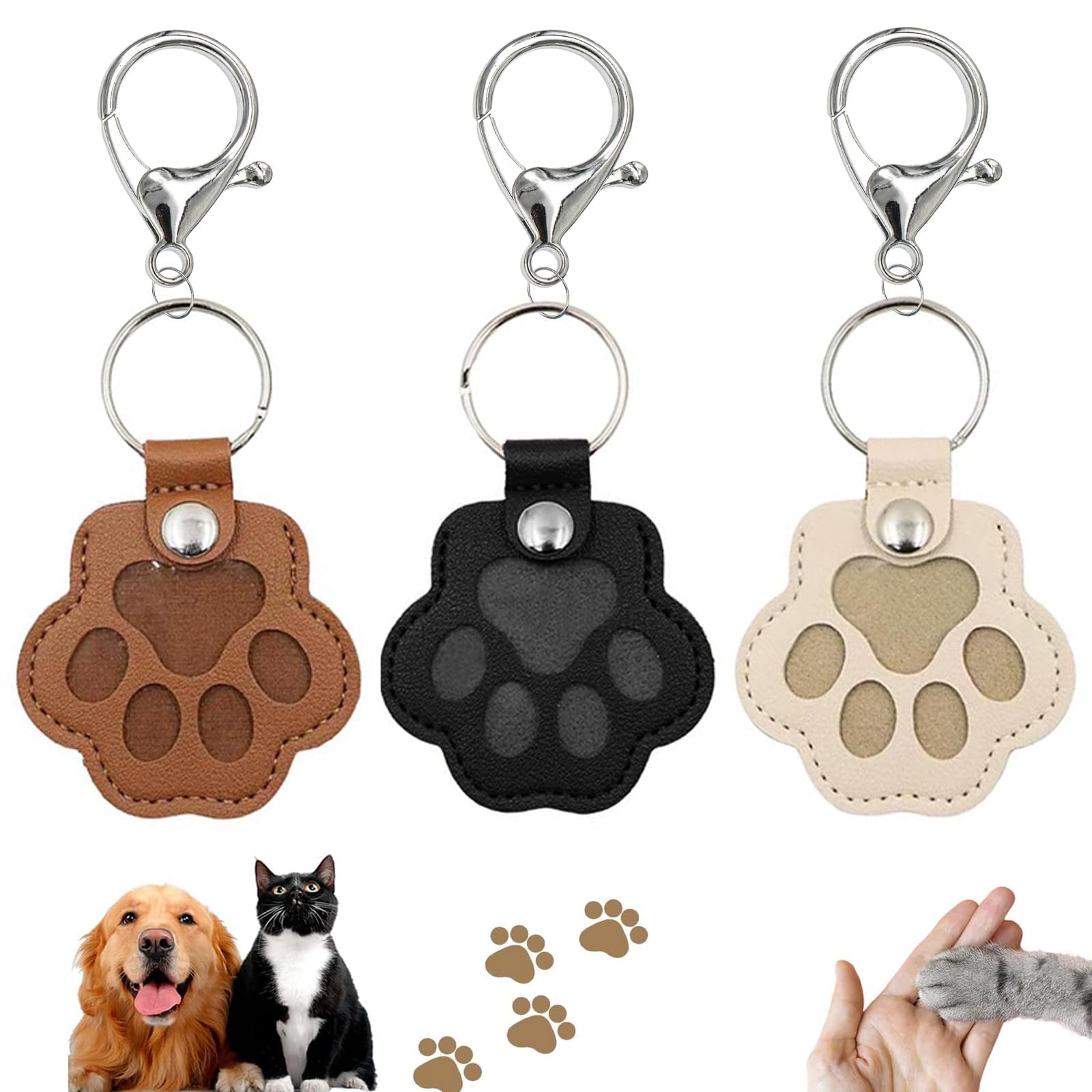 Boite Souvenir Pour Poils D'animaux De Compagnie, Porte-clés