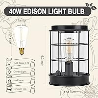 Vista 4 de Electric Wax Melt Warmer,Wax Warmer for Scented Wax Melts,Candle Wax Burner Fragrance Warmer and Vintage Light Bulbs,Wax Melt Melter for Rustic Home