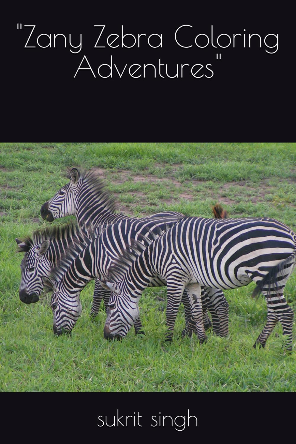 "Zany Zebra Coloring Adventures"