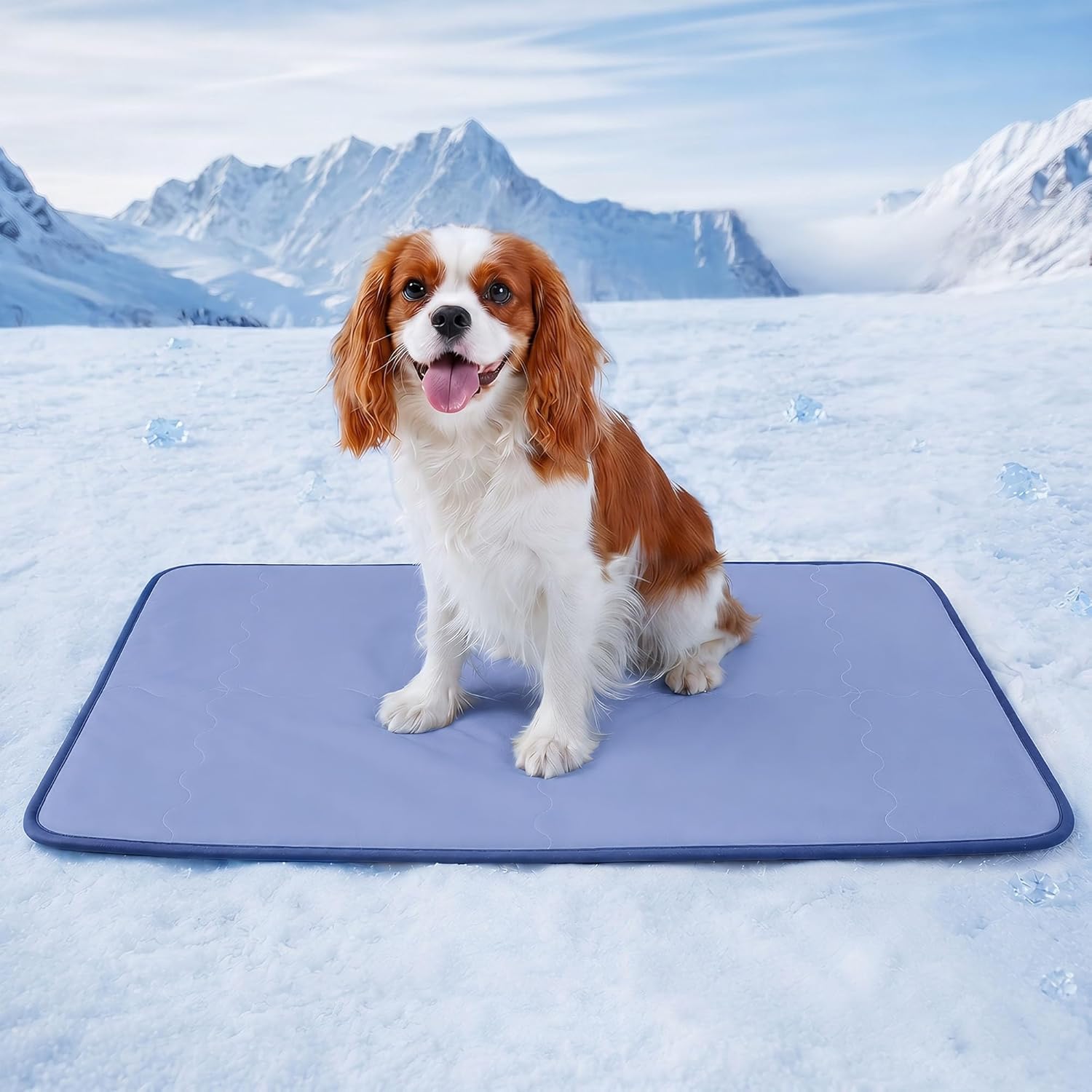 Deconovo PET Cooling Mat for Dogs & Cats, Reversible Cool-to-Touch Summer Pad with Quilted Soft Fill, Breathable Lightweight Pad for Bed/Couch/Crate, Machine Washable, Blue, 40x60 Inches