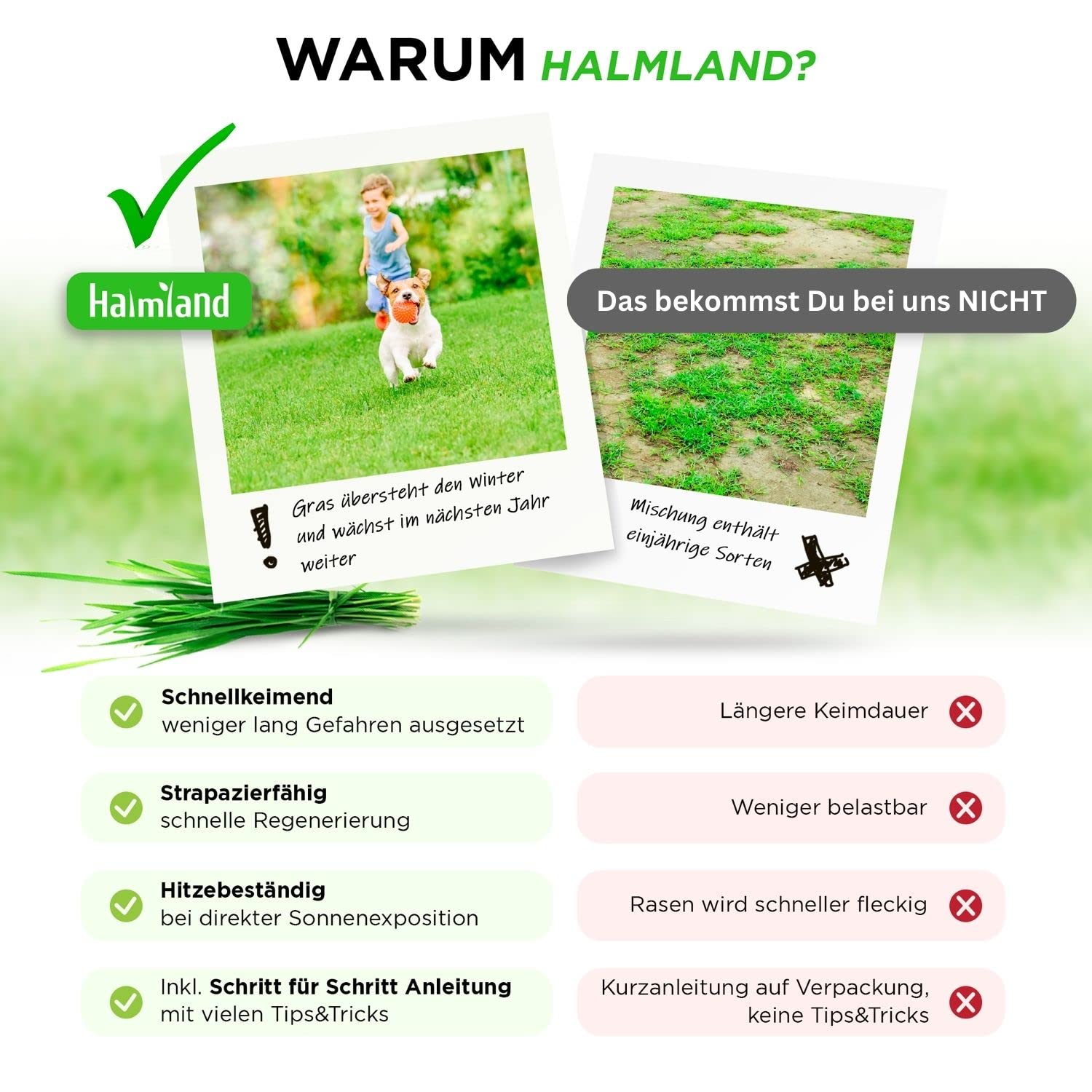 Premium Rasensamen schnellkeimend 10kg = 400m² | Sommer Sport und Spiel Rasen - SEHR GUT getestet - Grassamen trockenresistent | Ideal für Rasensaat und Nachsaat