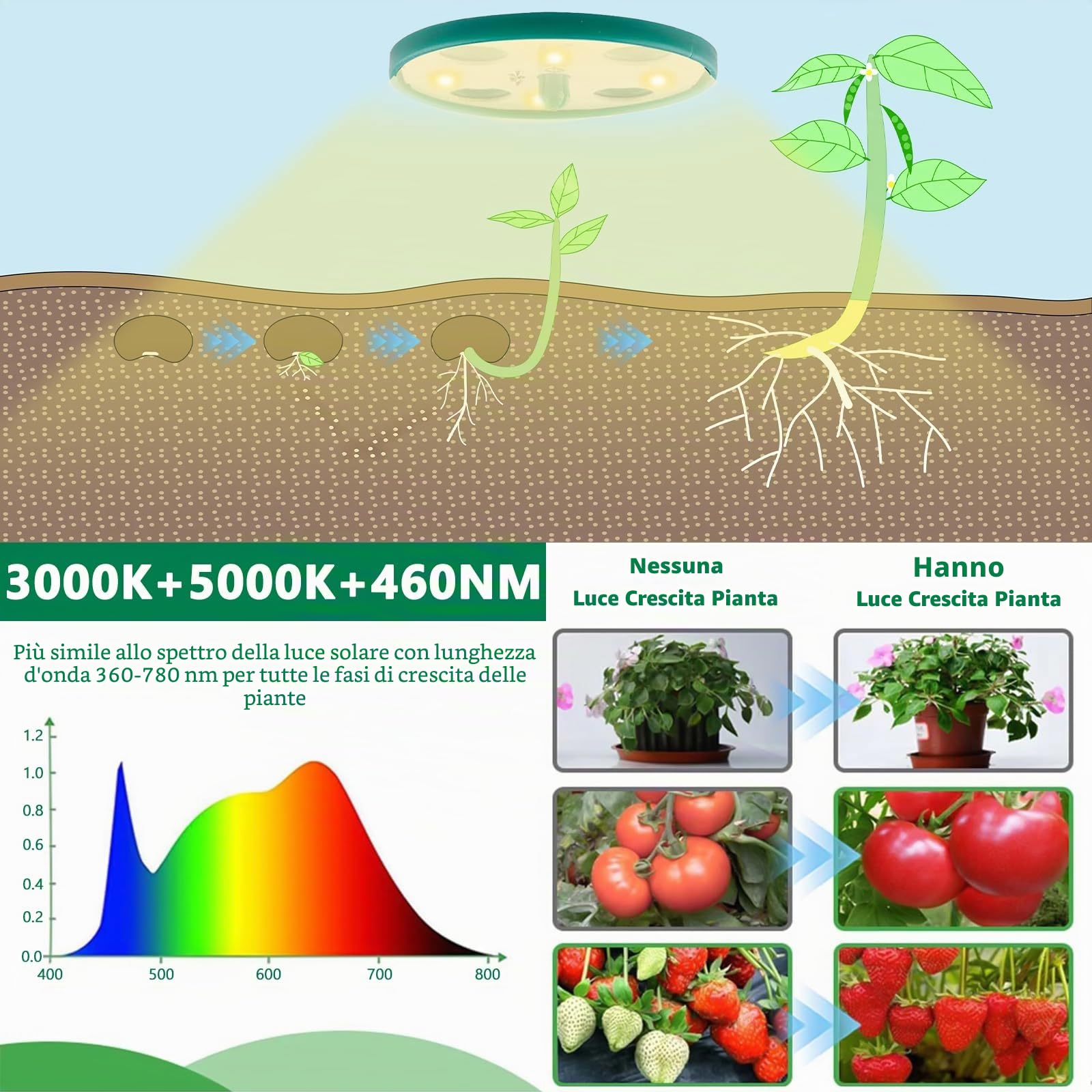 Mini Serra Germinazione, Set di 5 Vassoi per Germinazione Mini Serre con Luce per Piante,Vassoi per Coltivazione con Coperchio,10 Etichette,2 Strumenti,Guanti, Piantine Vassoio di Germinazione
