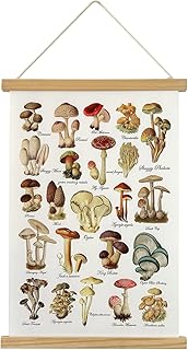 XIAOAIKA Mushroom Poster Wall Art Prints HD Colorful Rustic Style Wall Hanging, Mushroom Chart Poster with Wooden Frame for Living Room Office Bedroom Aesthetic Decor (16 x 23 Inches)