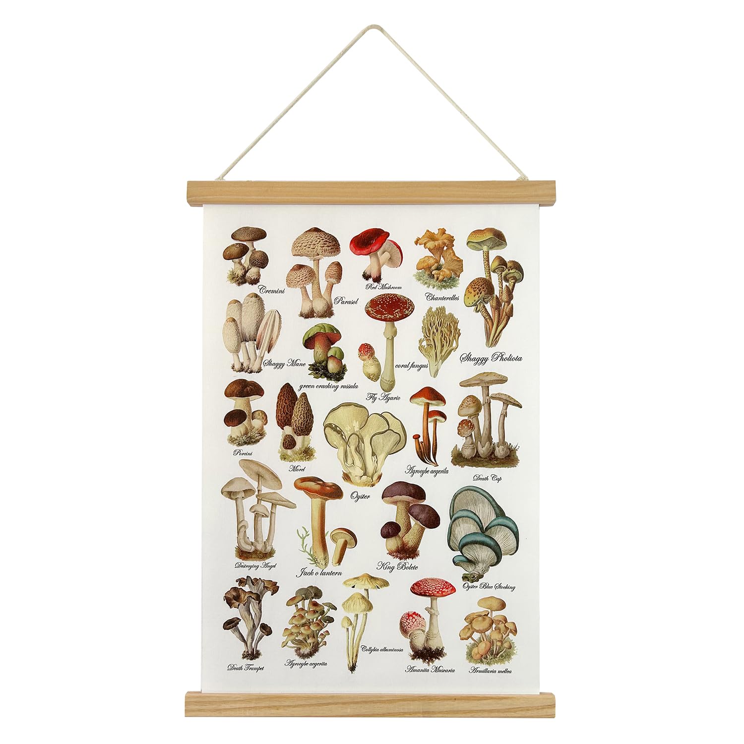 XIAOAIKA Mushroom Poster Wall Art Prints HD Colorful Rustic Style Wall Hanging, Illustrative Reference Mushroom Chart Poster with Wooden Frame for