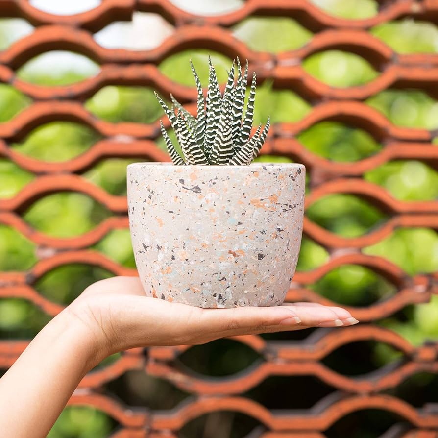 Amazon.co.jp: T4U セメント鉢 多肉植物鉢 サボテン鉢 3号鉢