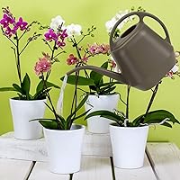 Vista 8 de Fasmov Regadera de plástico, 1 galón, gris oscuro