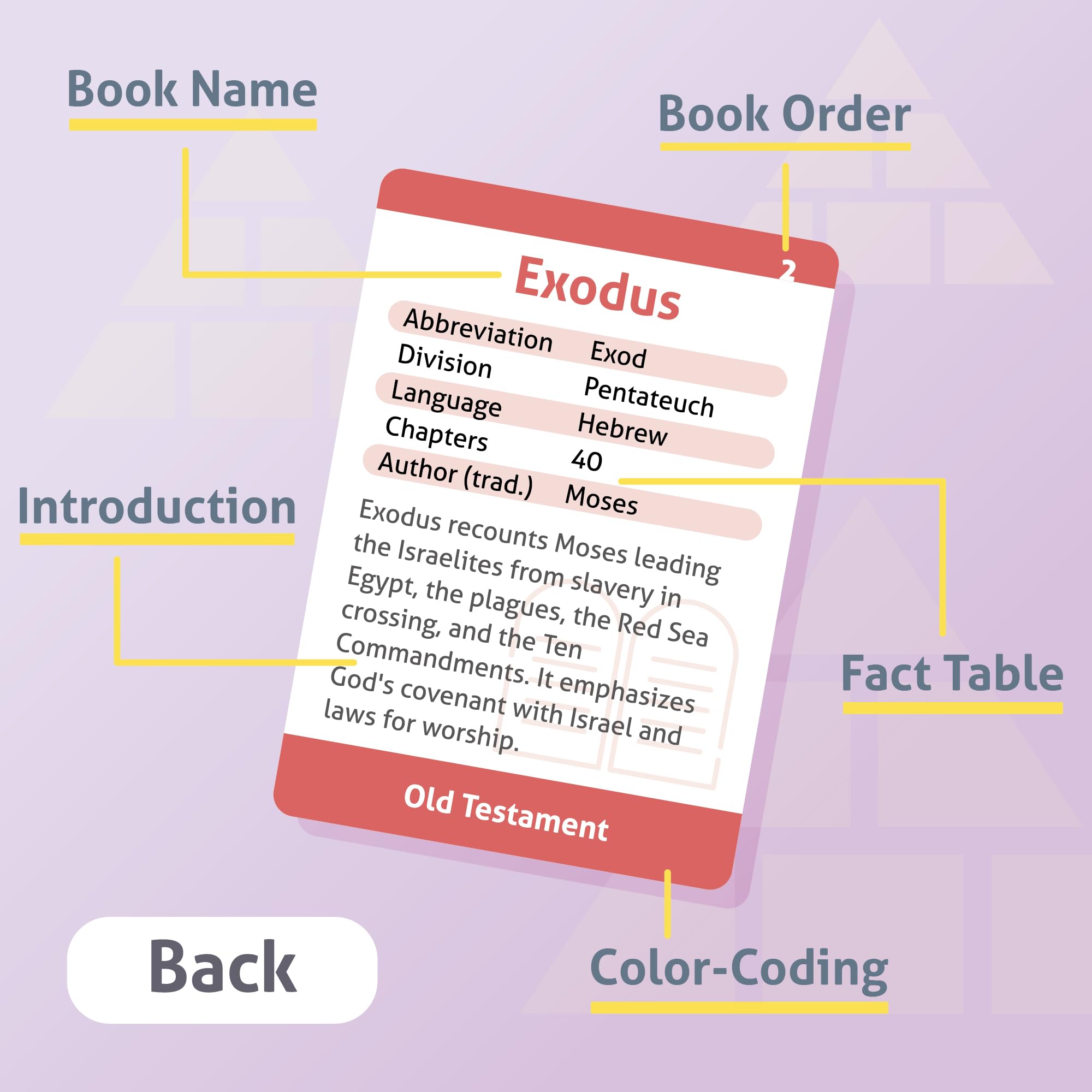 CARDDIA | Books of the Bible Flash cards (2025 Edition) | Woodcut Illustrations, Color-Coded Divisions & Key Facts | Perfect for Bible Study, New Christians & Meaningful Christian Gifts - Image 3