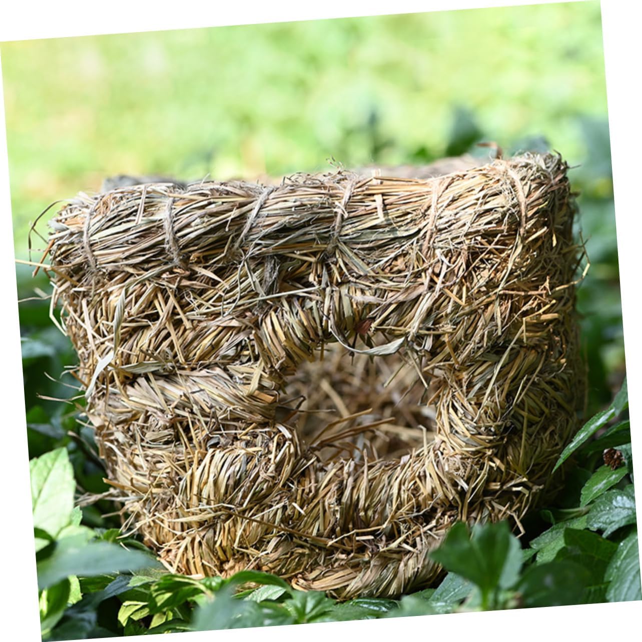 2pcs Cat Bed Removable Cover Hand-Woven Animal Nest Pet Playing House Safe Material for Rabbit Chinchilla Pig