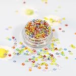 2mm Perles de graine de verre doublées de l'éclat 24000pcs,12/0 Perles pour petits bateaux pour la fabrication de bijoux Perles artisanales Fournitures avec chaîne élastique et aiguilles (1000Pcs Par couleur, 24 Couleurs)