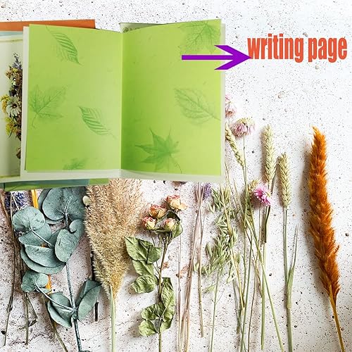 Miniatura 4 de Tarjetas de felicitación hechas a mano con flores reales para todas las ocasiones con sobres, juego de 4 (4 diseños), para San Valentín, primavera,