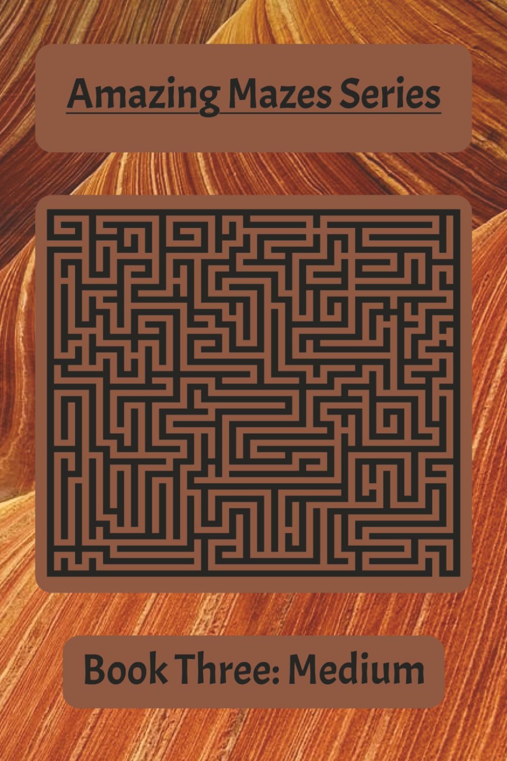 Amazing Mazes Series Book Three: Medium: Challenging Mazes to Build Focus, Patience, and Problem-Solving Skills