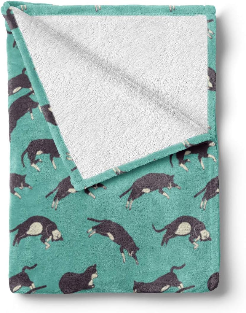 Lunarable Cats Throw Blanket, Whiskers Simple Kitten Illustrations Pet Stretching Sleeping, Flannel Fleece Accent Piece Soft Couch Cover for Adults, 60" x 80", Seafoam Charcoal Grey