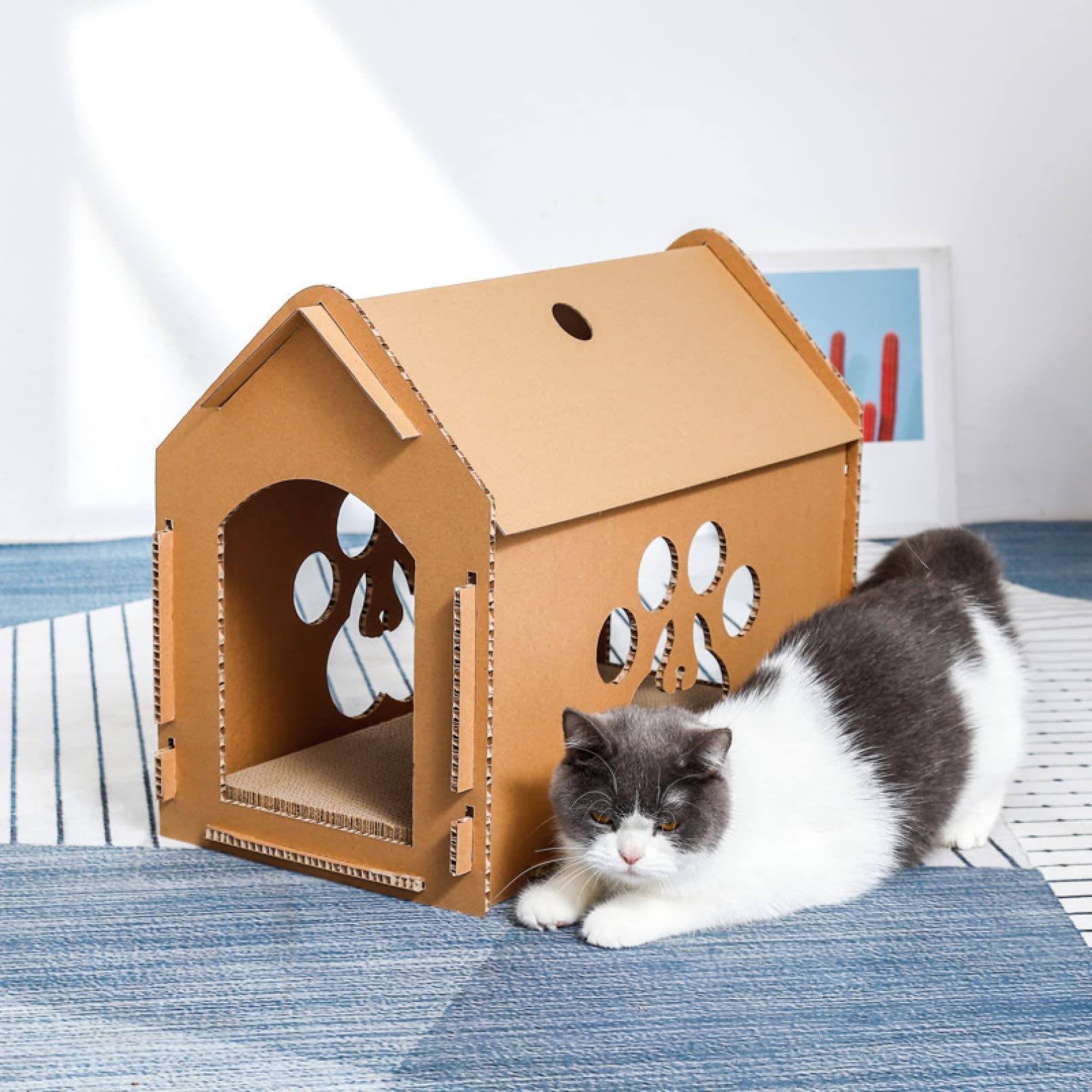 Amazon | [JUI3N] 設計 猫ハウス 小型犬/中型犬 組み立て 猫小屋 紙 