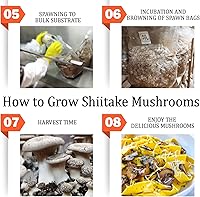 Vista 4 de Tarro de hongos, tapa de cultivo líquido, boca ancha, boca rejuvenecida, plástico de grado alimenticio, con membrana de PTFE y puertos de inyección