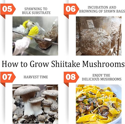 Miniatura 4 de ZHANXUBIO - Tarro de hongos con tapa de cultivo líquido, boca ancha, boca rejuvenecida, plástico de grado alimenticio, cultivo de grano de masón,